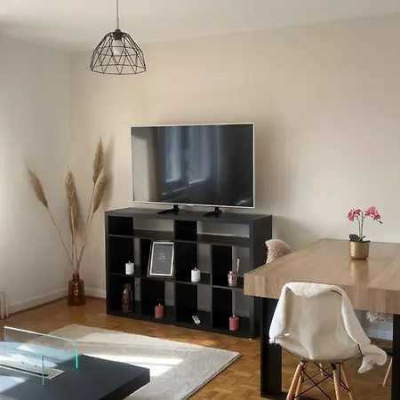 Apartamento Magnifique, Spacieux, Deux , Deux Terrasse, Un Grand Salon, Salle à Manger, Pas Loin De La Gare De Muhlouse